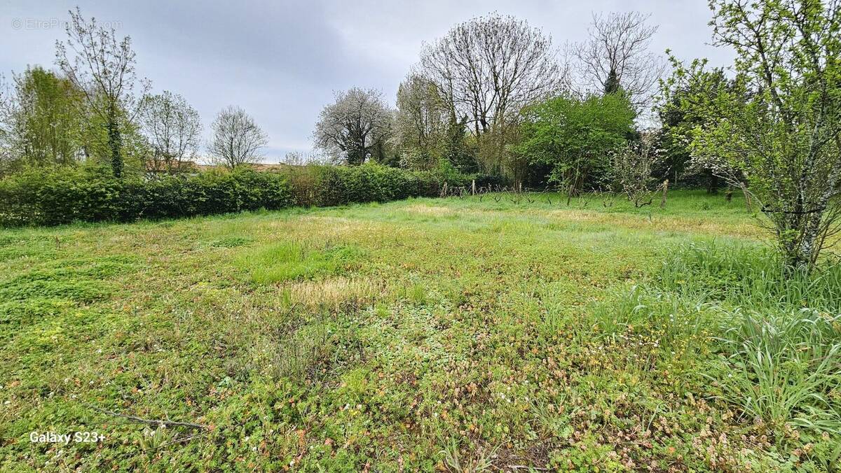 Terrain à SAINT-REMY