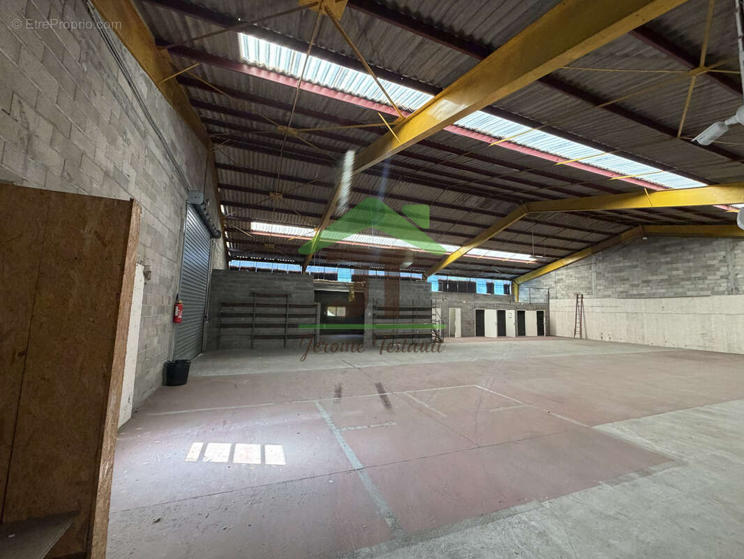 CHATEAUDUN (Forte visibilité) Bâtiment industriel - photo 4