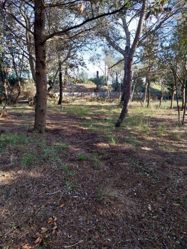 Terrain à OUVEILLAN