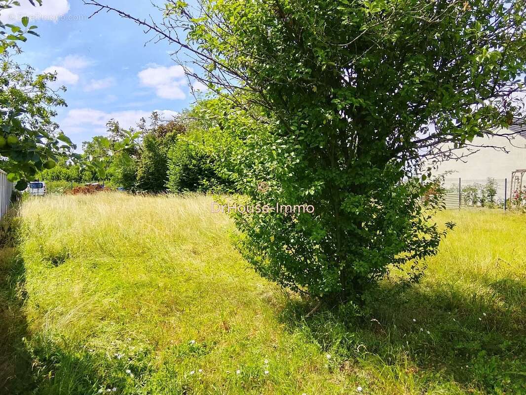 Terrain 900 m² à Marest-Dampcourt  - photo 2