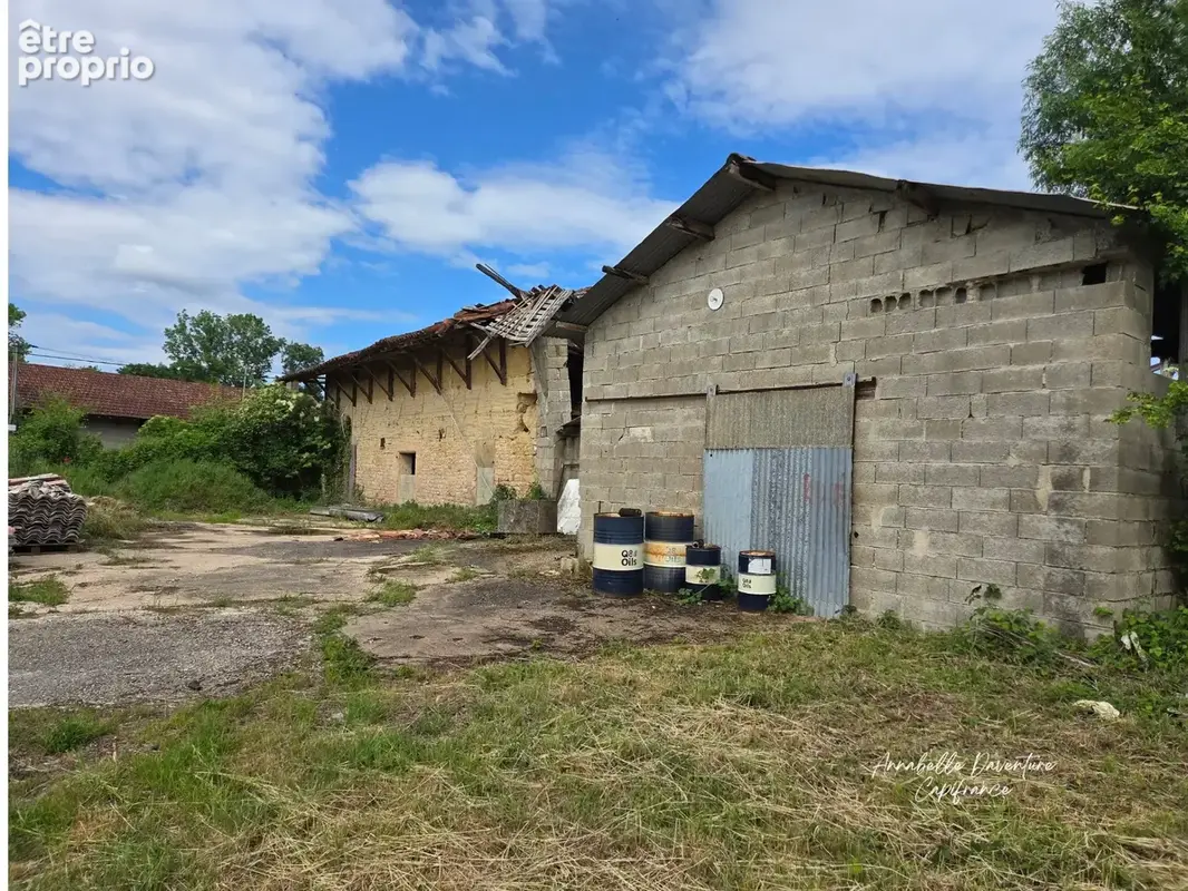 Ancienne Ferme Bressane de Caractère - photo 15