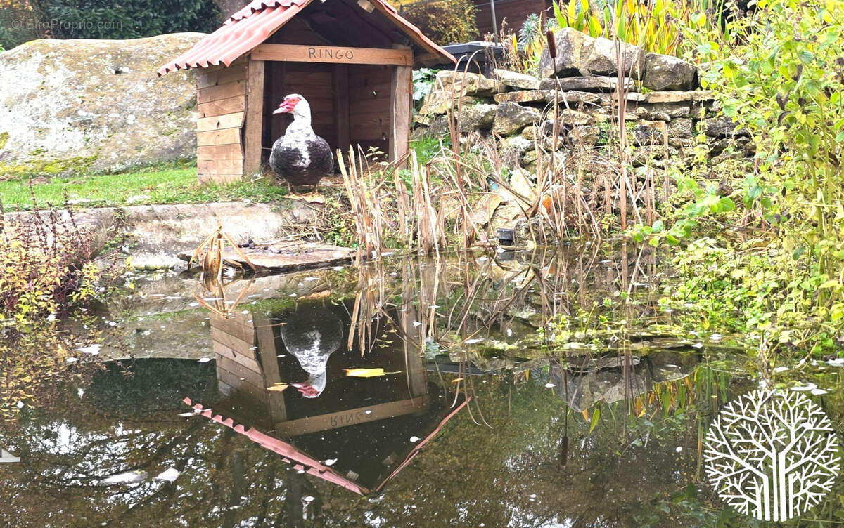 Maison à BOUTIGNY-SUR-ESSONNE