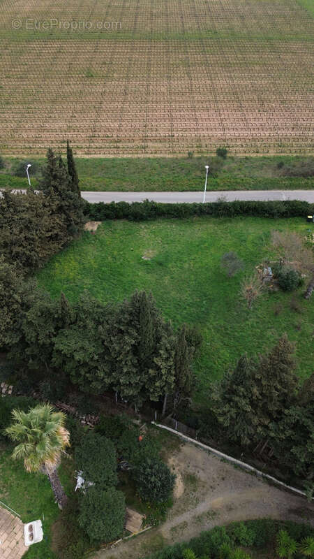 Terrain à PERPIGNAN