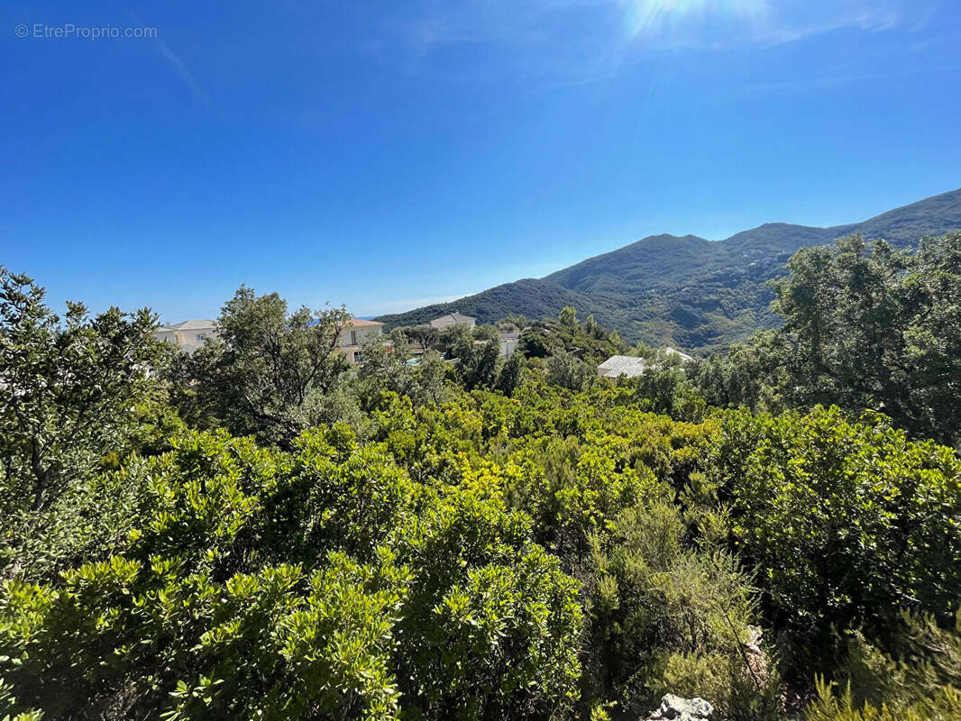 Terrain à SANTA-MARIA-DI-LOTA