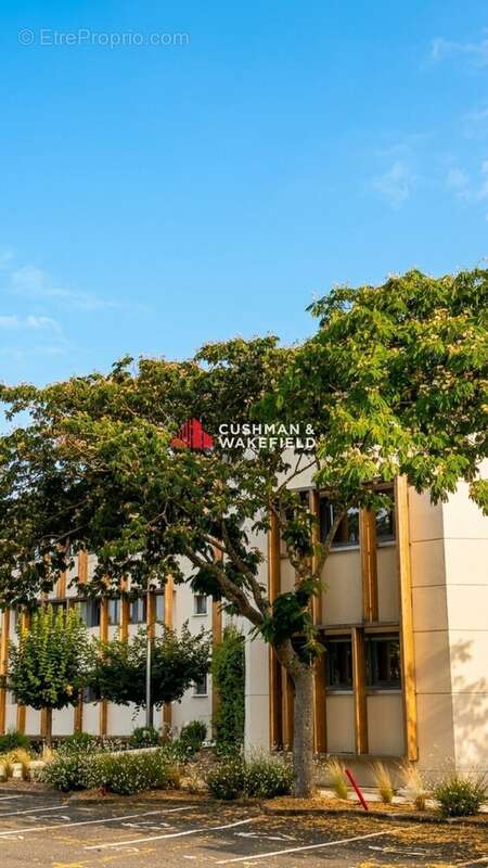 Commerce 3123 m² à Blagnac  - photo 5