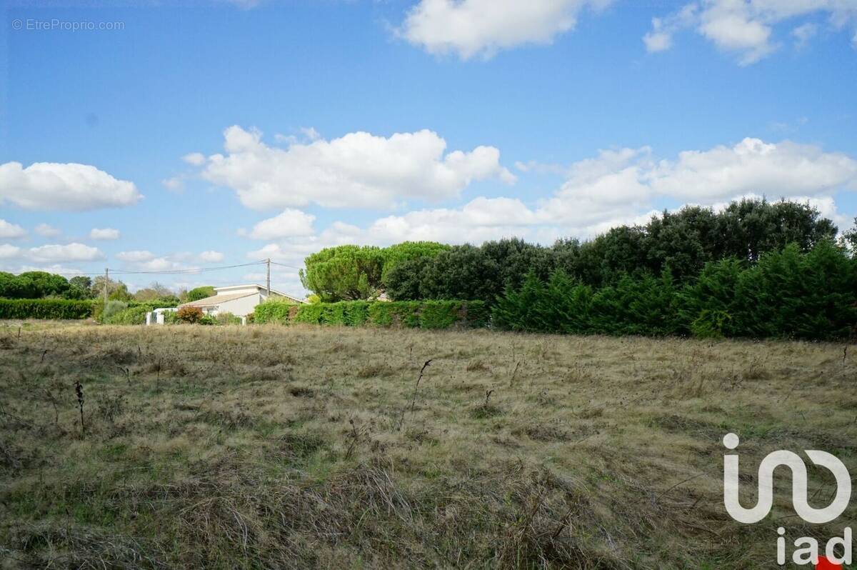 Photo 1 - Terrain à LARRA