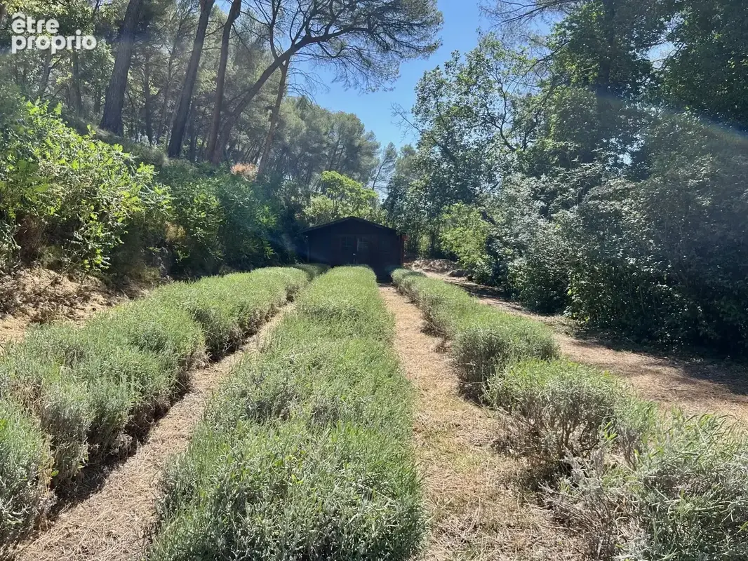 VIILLA de 290 m2 - Terrain 1 hectare à 6 suites, piscine, spa, à Aix-en-Provence 13100 - photo 11