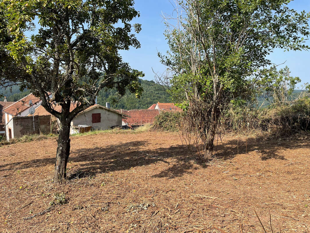 Terrain à HASELBOURG