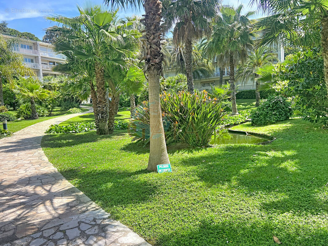 Appartement à CANNES