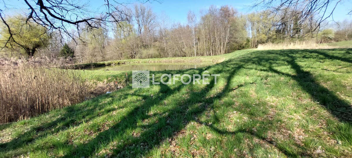 Terrain à GRANDVILLARS