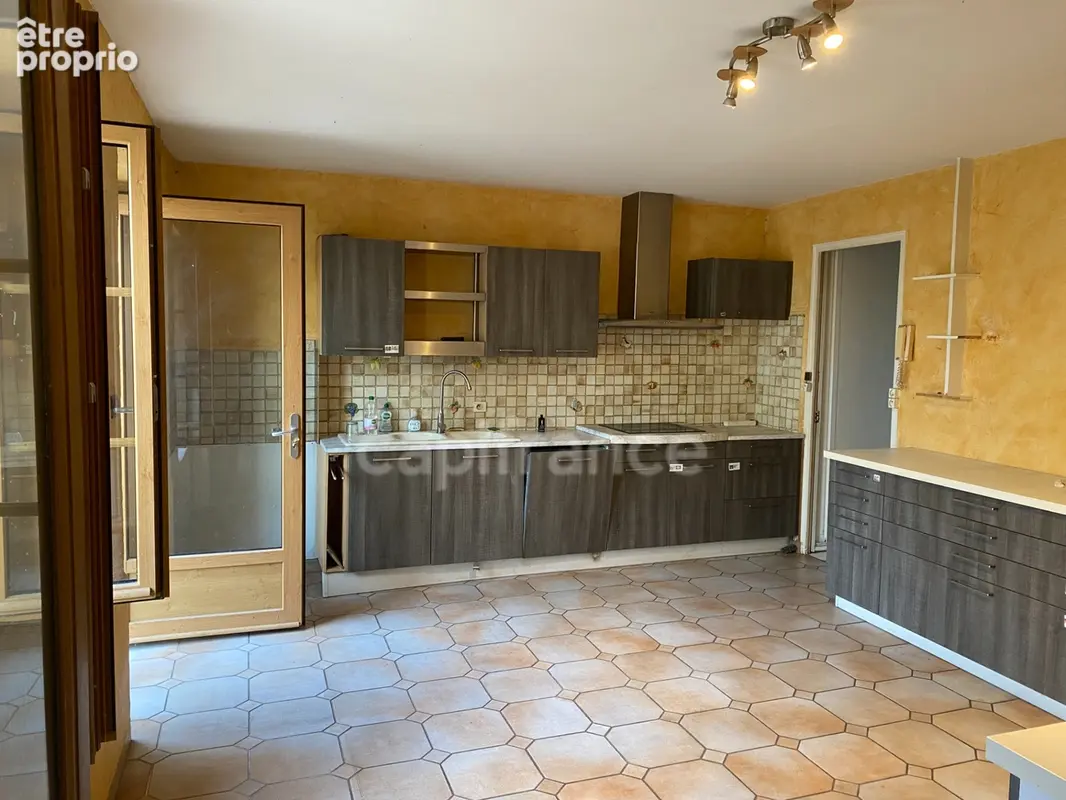 Maison et appartement à vendre, proche du centre de GREZIEU-LA-VARENNE - photo 1