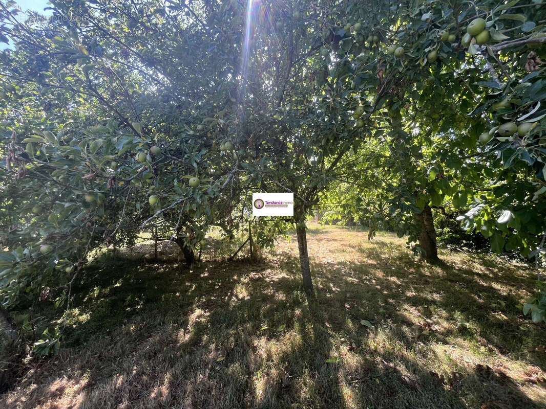 Terrain à MORTAGNE-AU-PERCHE