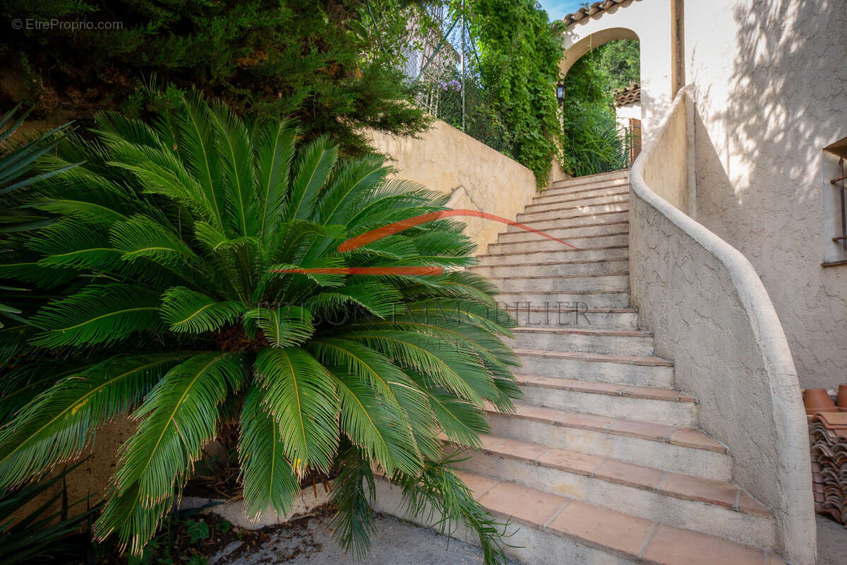 Maison à LA COLLE-SUR-LOUP