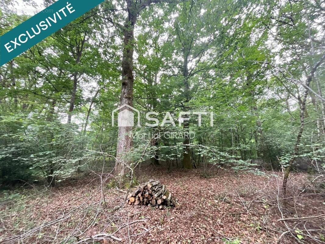 Photo 1 - Terrain à VOUZERON