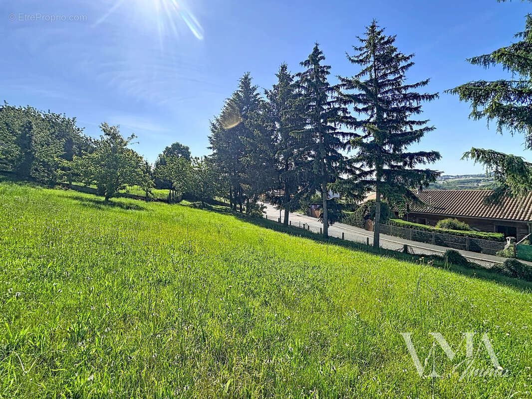 TERRAIN À BÂTIR   BELMONT-D'AZERGUES (69380)   626 m2 180 000 €   Honoraires à la charge de l'acquéreur - photo 4
