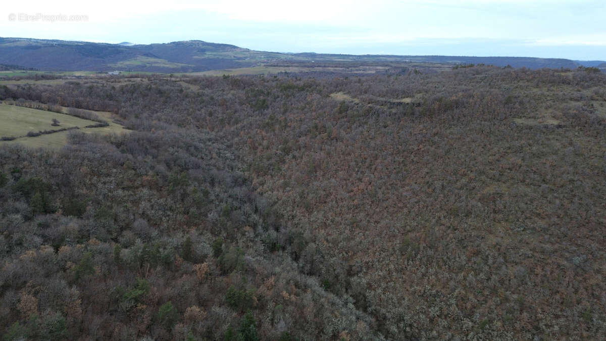Terrain à AURIAC-L'EGLISE