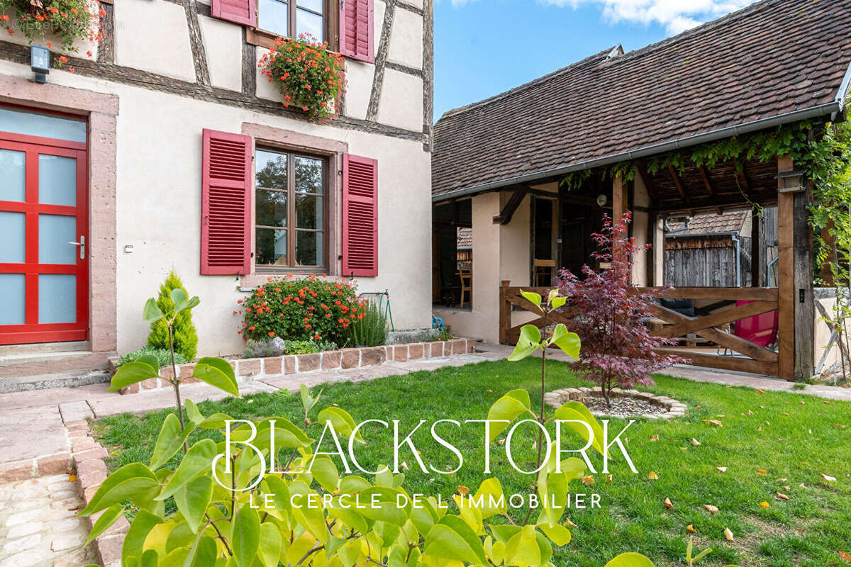 Maison à RIBEAUVILLE