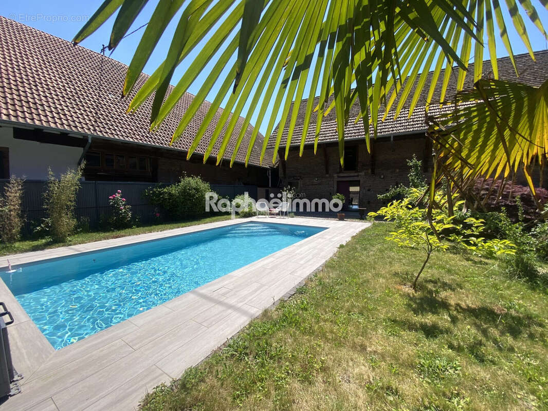 Maison 420 m² à Olwisheim  - photo 3