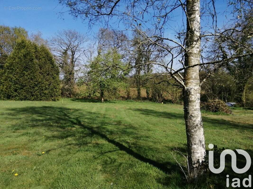 Photo 3 - Terrain à CAST