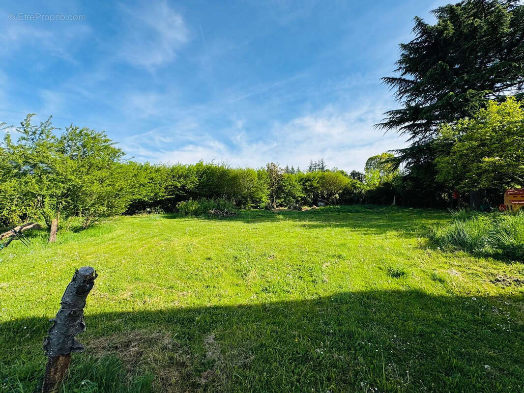 Terrain à BRIE-ET-ANGONNES