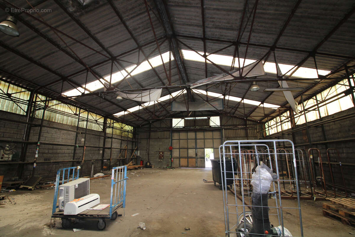LOCAUX COMMERCIAUX DE 1750 M2 sur terrain de 3700 m2. - photo 10