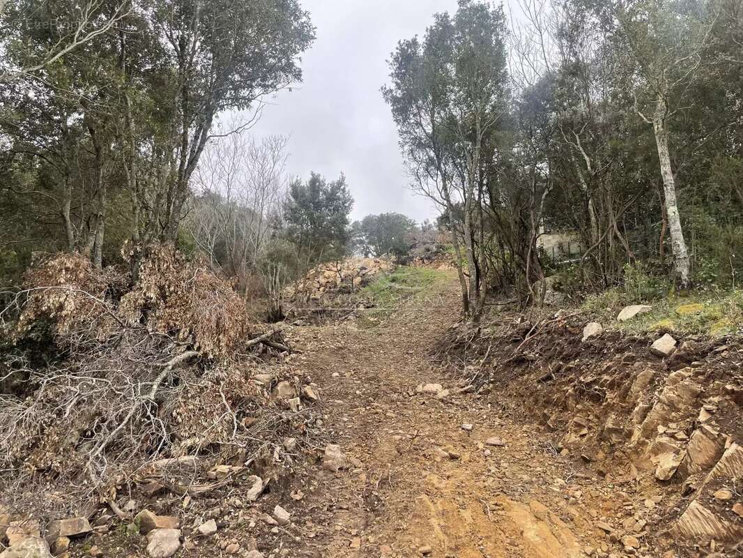 Terrain à SARI-SOLENZARA