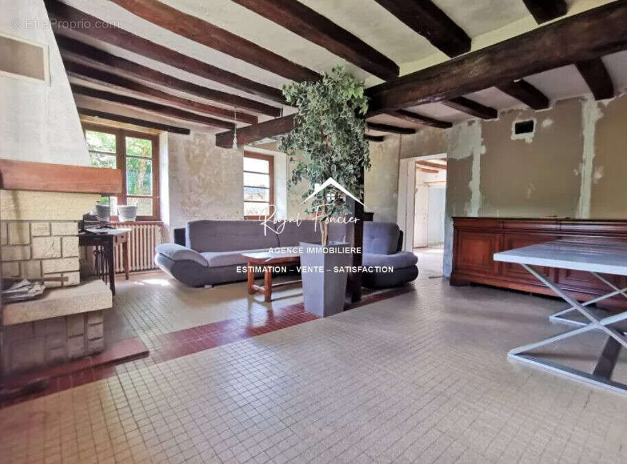 Séjour avec cheminée - Maison à YZEURES-SUR-CREUSE