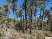 Photo 1 - Terrain à SILLANS-LA-CASCADE