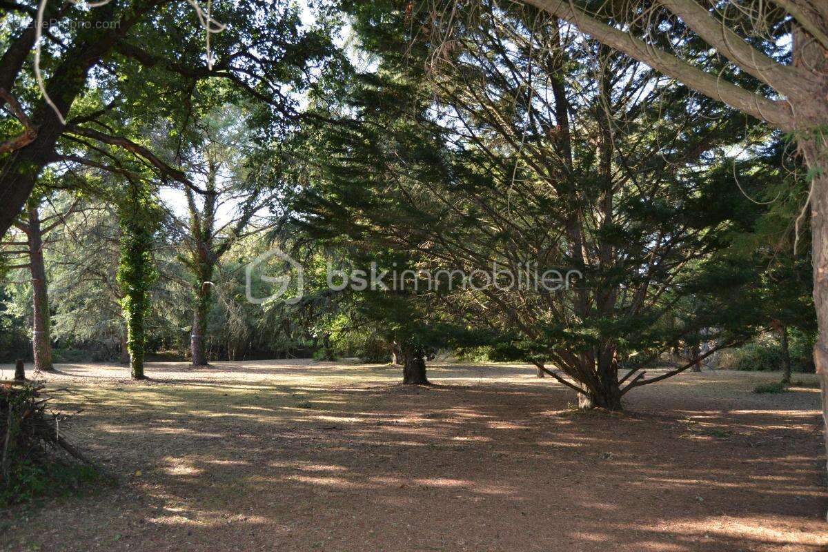 Propriete avec parc, dependance et piscine - photo 28