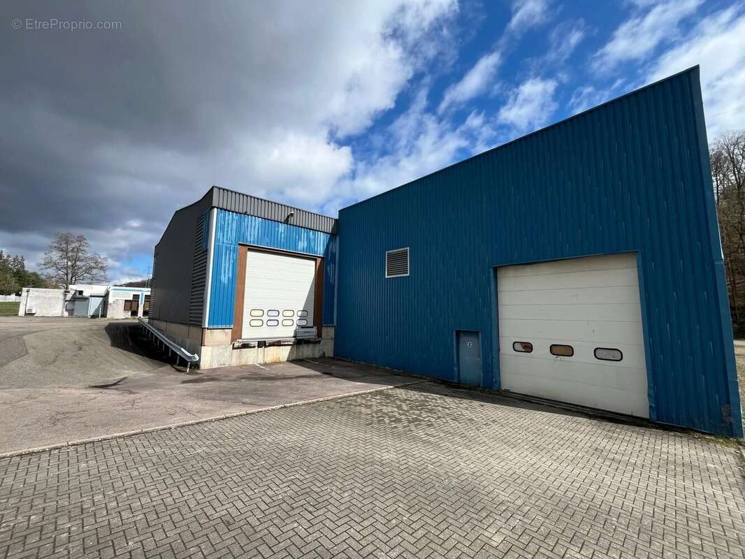 Commerce à SAINT-AVOLD