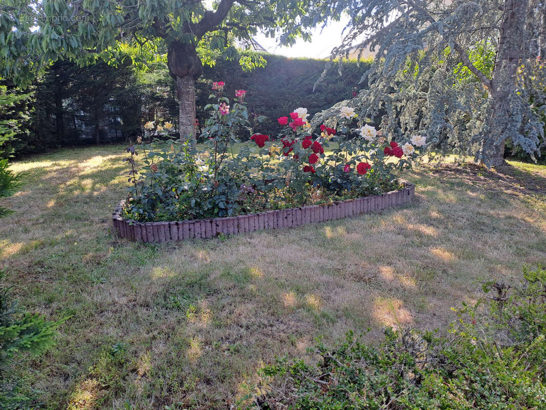 Nouveaute en exclusivite - photo 2