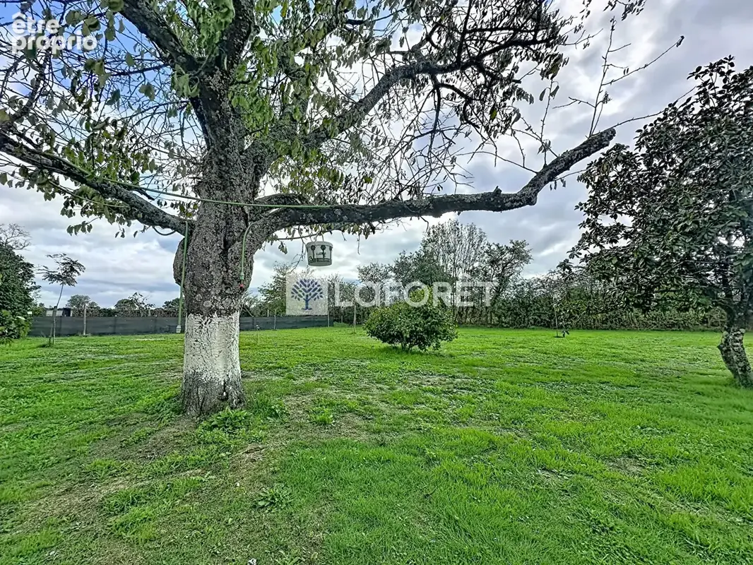 Maison 150 m² ! 5 chambres, terrain de 3 400 m² et nombreuses dépendances, fort potentiel ! - photo 7