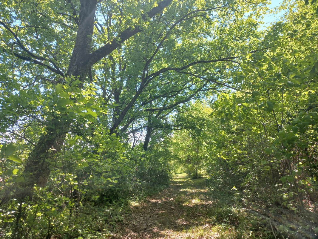 Maison à TRIE-SUR-BAISE