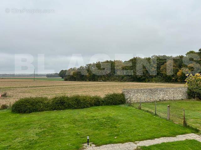 IMG_3357 - Maison à ORPHIN