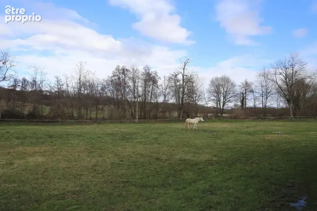 Propriété sur 4HA - photo 13