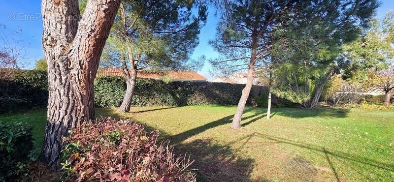 Terrain à GRATENTOUR