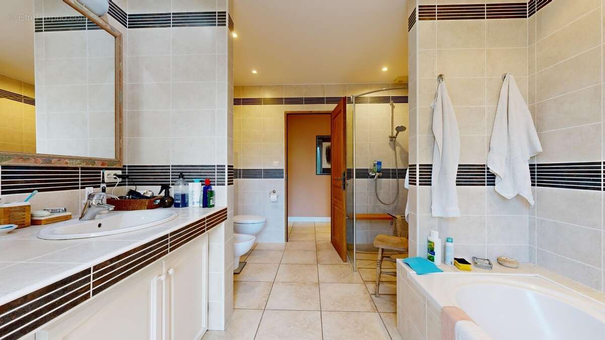 Grande-maison-secteur-calme--11192024_154427.jpg - Maison à SAINT-GERMAIN-DE-BELVES