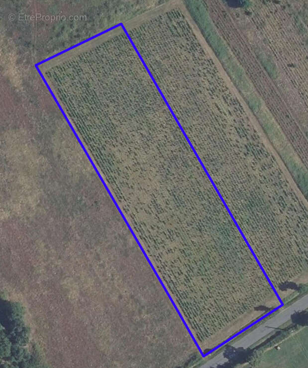 Terrain à CHATEAUMEILLANT