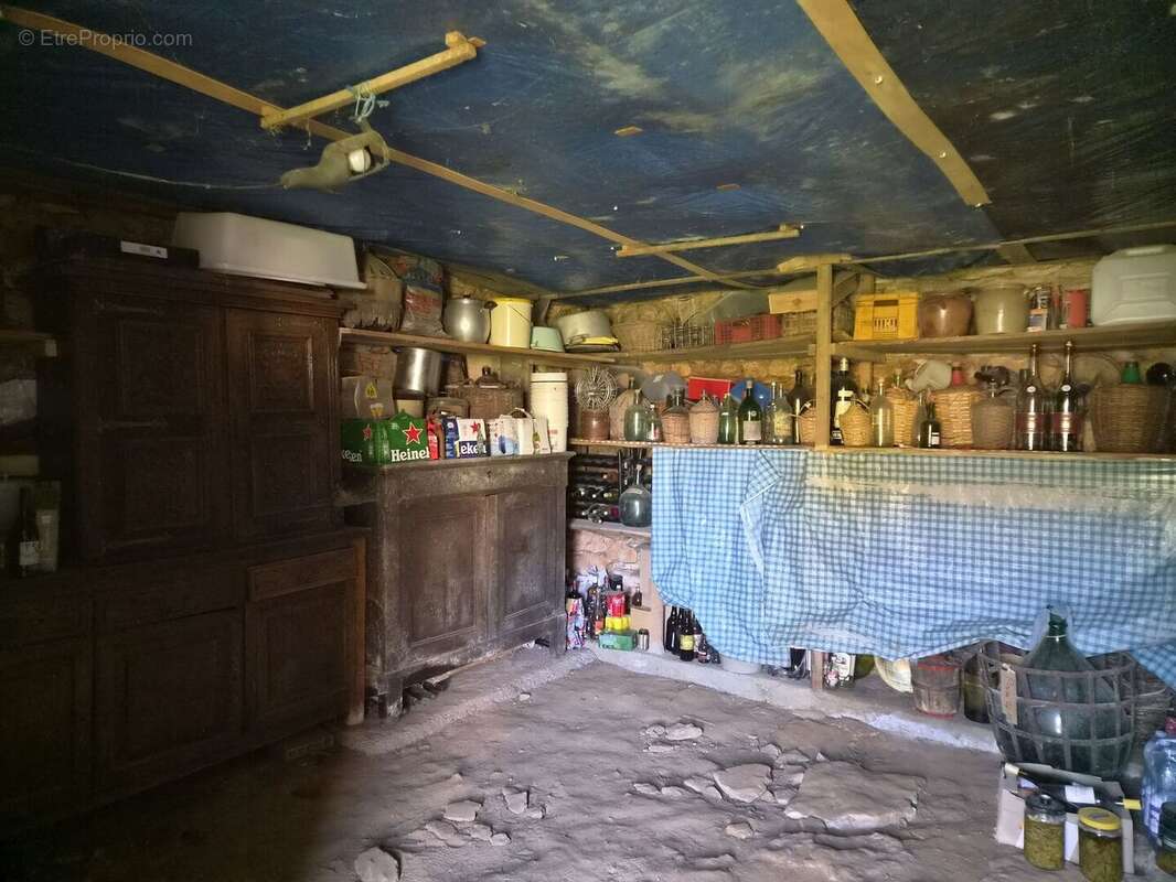 20260324151145 - Maison à SAINT-CYPRIEN