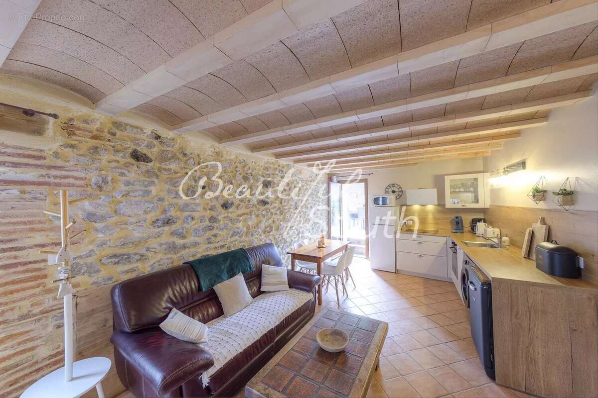 Mas de caractere avec piscine et gite en activite, montesquieu des alberes - photo 11