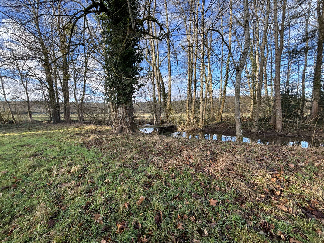 Au coeur du parc national à 9km de CHATILLON SUR SEINE ( 21)  :habitation de 450 M2 avec 1,5HA bord d'eau - photo 12