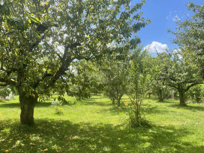 Maison à ARCES-DILO