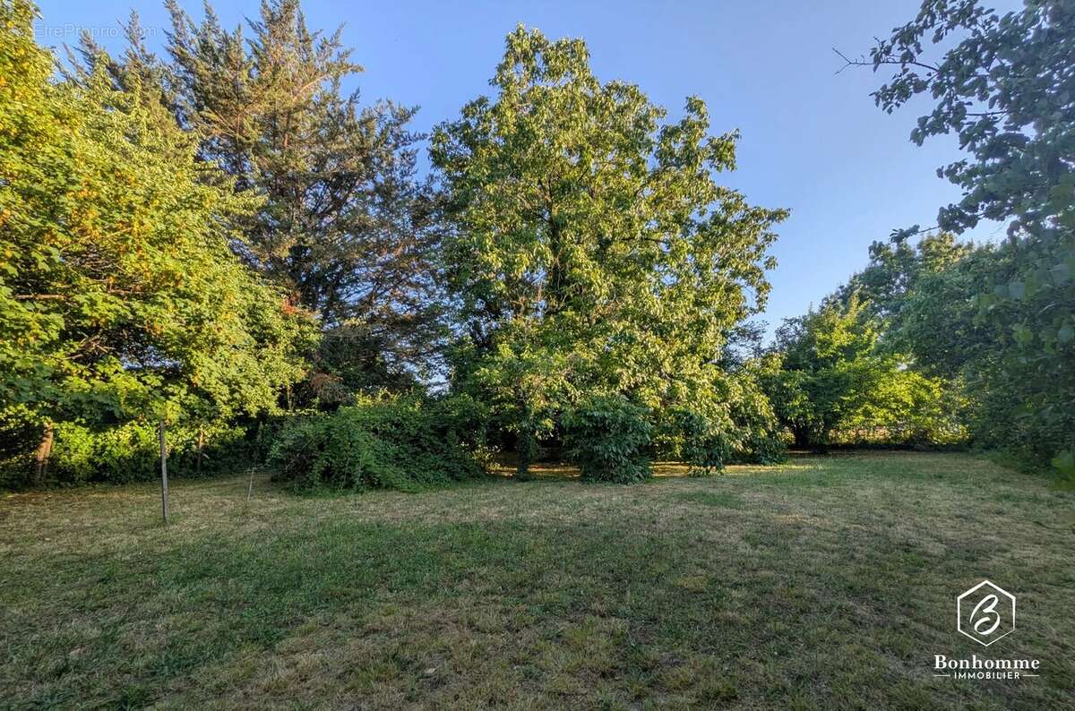 Maison 6 pièces - Lestiac sur Garonne - photo 15