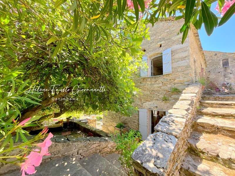 Ancien Moulin en Pierre avec dépendances sur près de 2,3 hectares – Santo-Pietro-di-Tenda - photo 37