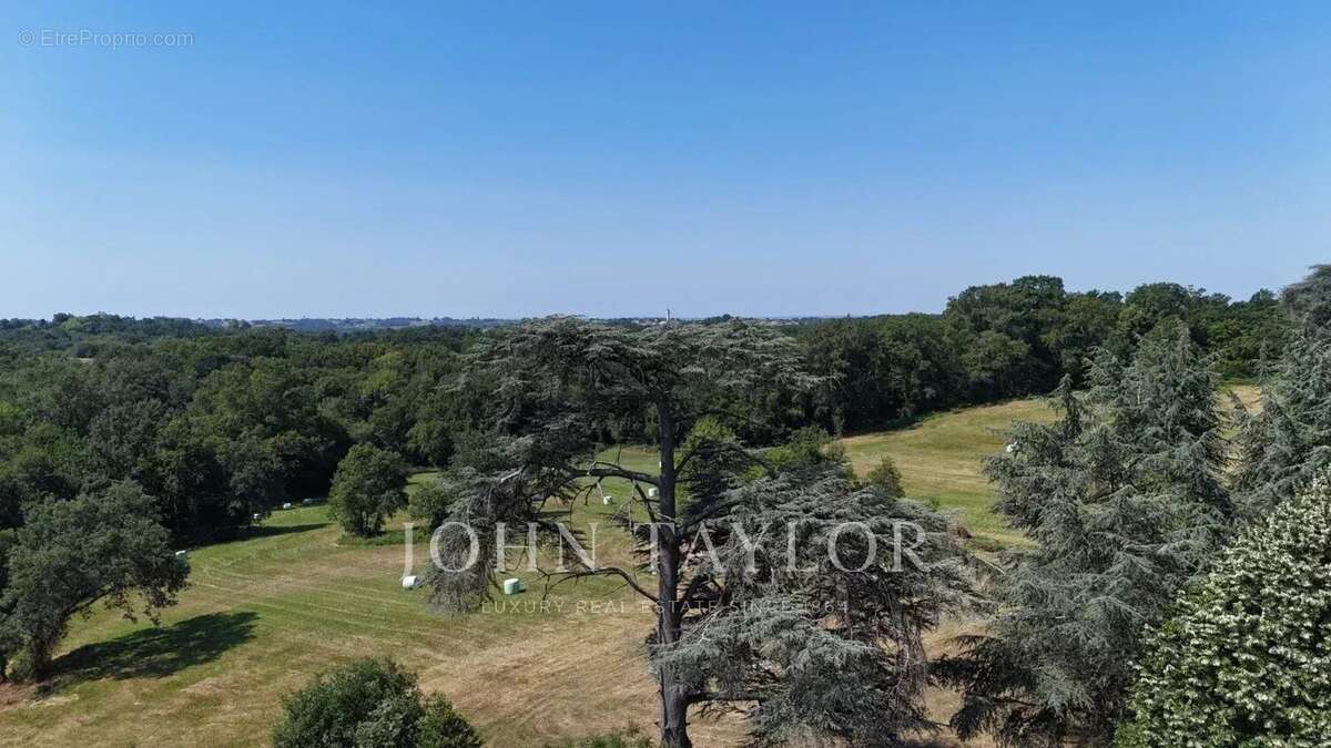 Chateau - 23 hectares - 30 minutes de Bordeaux - photo 25