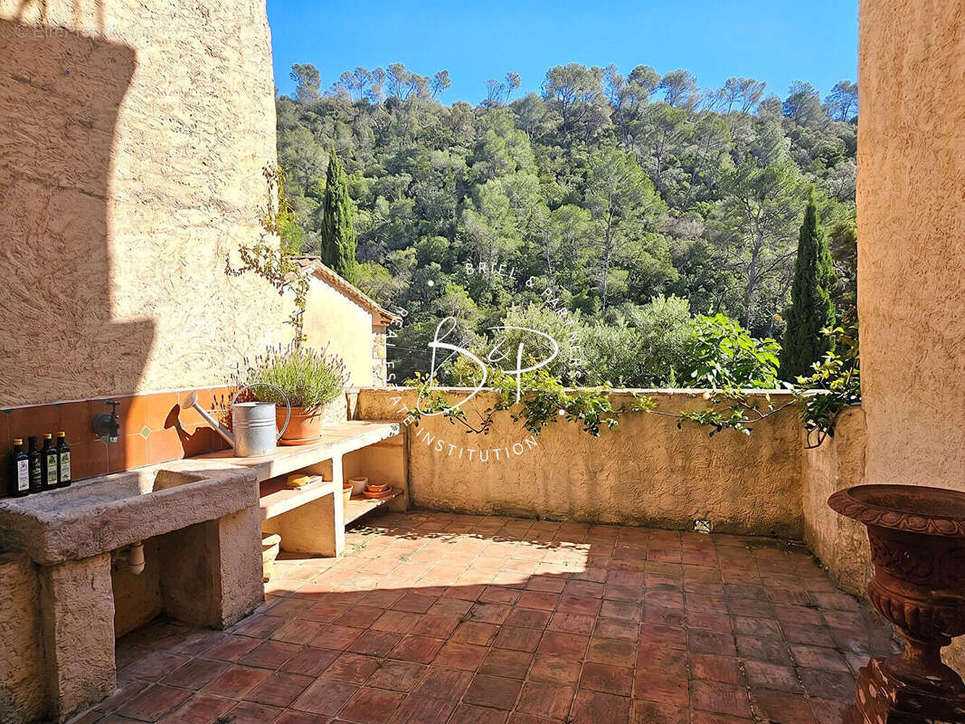 Maison de Maître d'Exception 271 m² de Charme au coeur d'Entrecasteaux avec 2 terrasses - photo 3