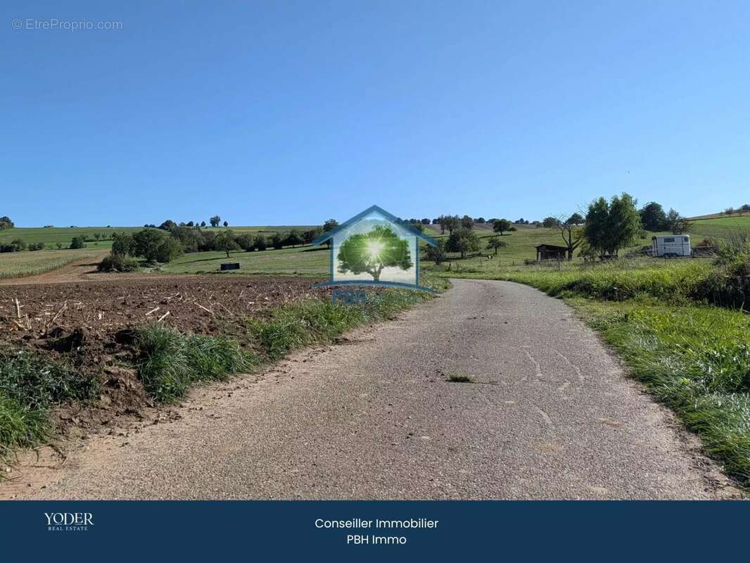 Maison à NIEDERMODERN