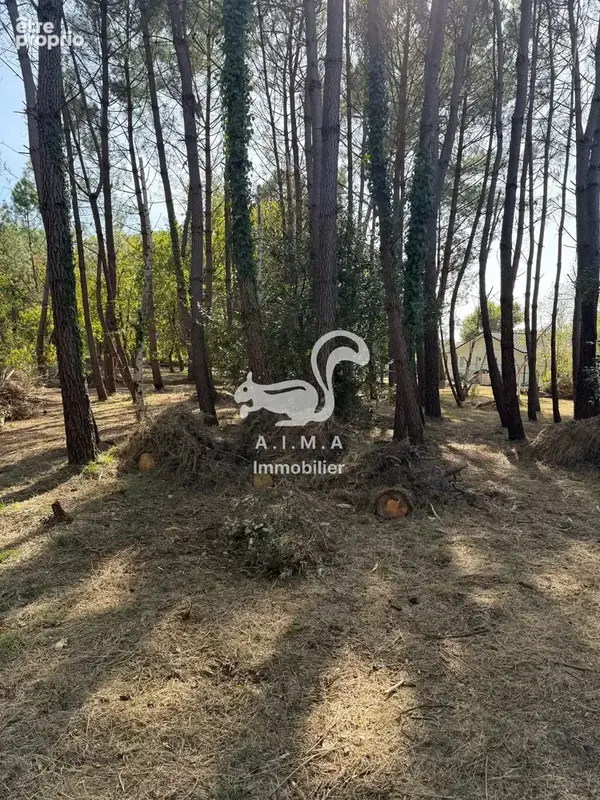 Mios, sur 1170m2 de jardin, au calme, maison 3 ch et garage - photo 4