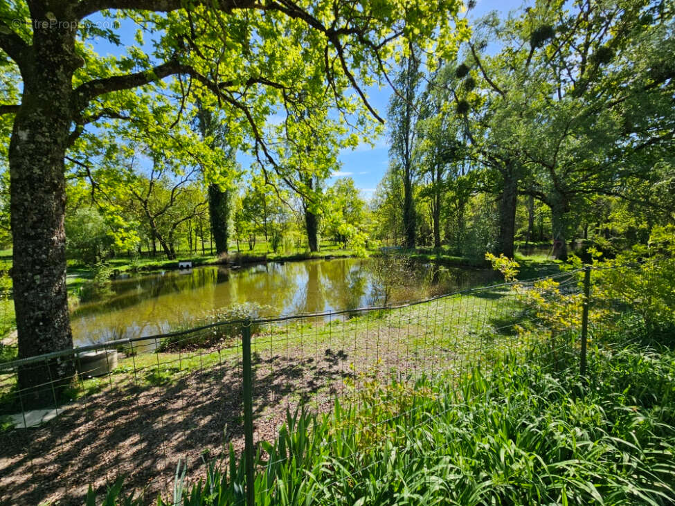 Maison à PRUNIERS-EN-SOLOGNE