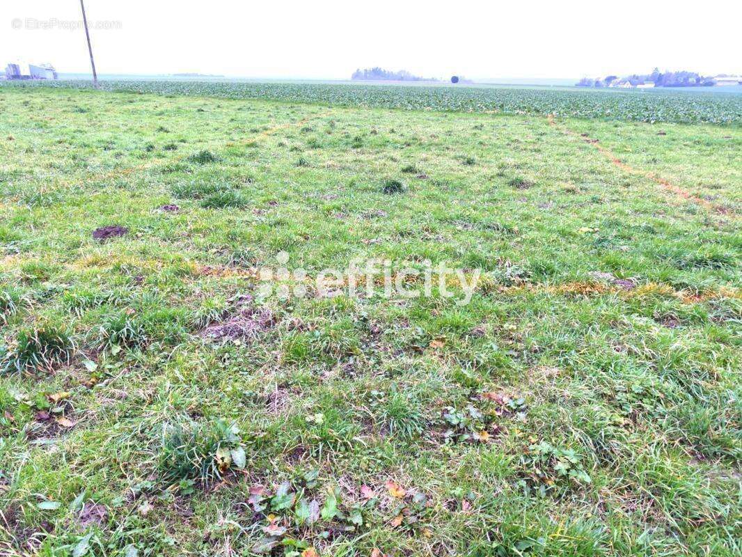 Commerce à TREMBLAY-LES-VILLAGES